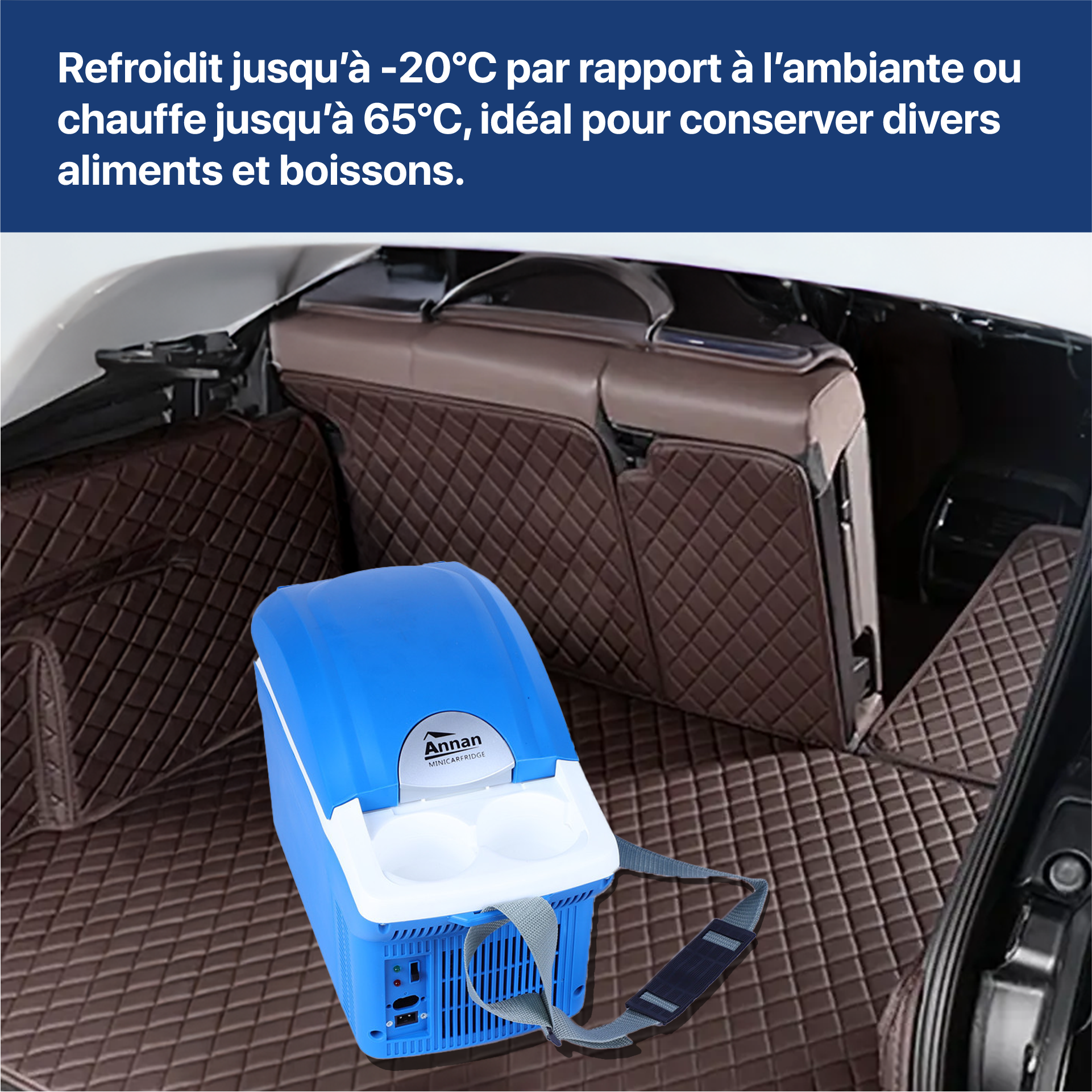 Réfrigérateur de voiture