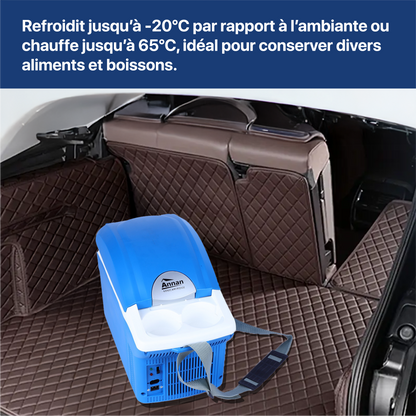 Réfrigérateur de voiture
