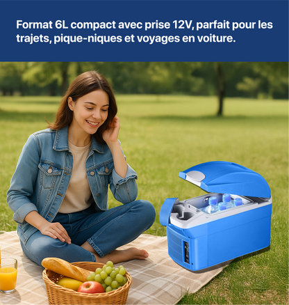 Réfrigérateur de voiture